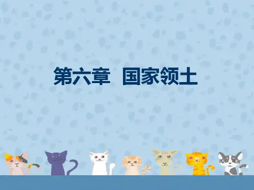 国际法第六章领土