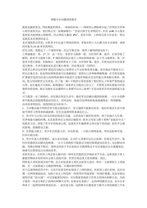 网瘾少年问题调查报告