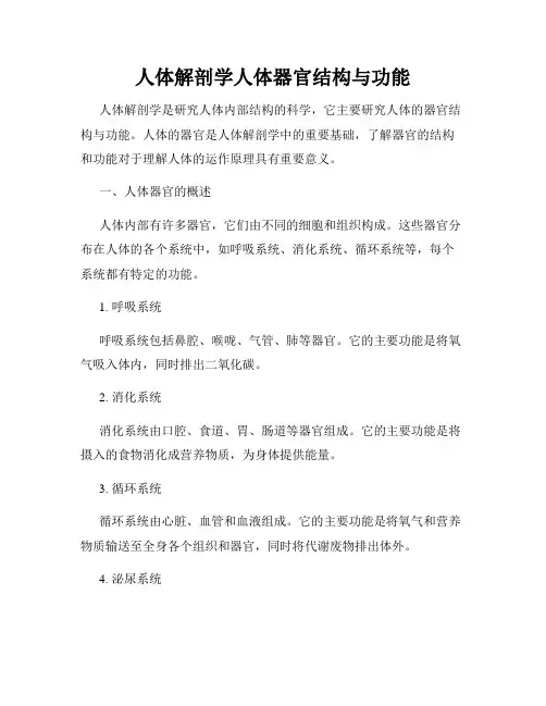 人体解剖学人体器官结构与功能