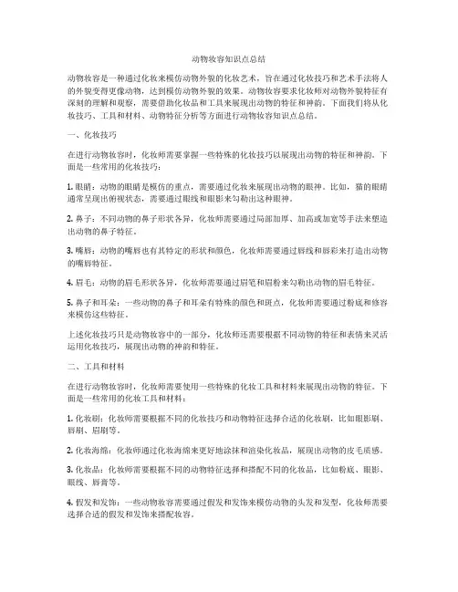 动物妆容知识点总结