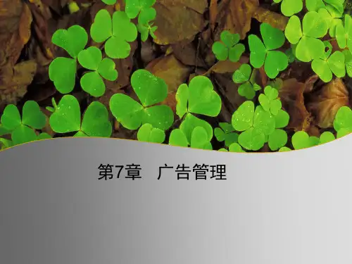 广告管理培训课件