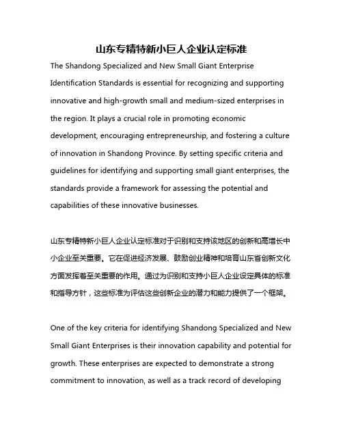 山东专精特新小巨人企业认定标准
