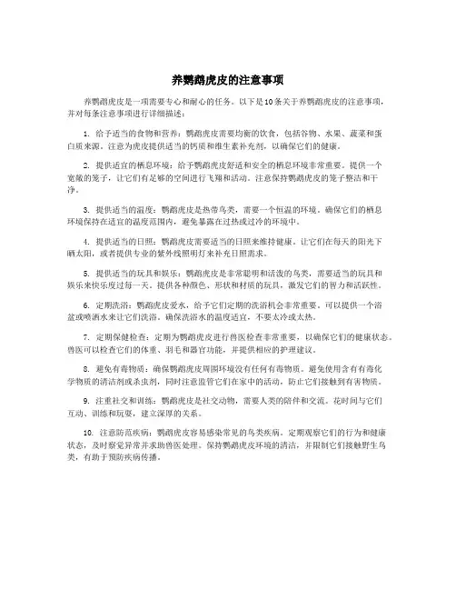 养鹦鹉虎皮的注意事项