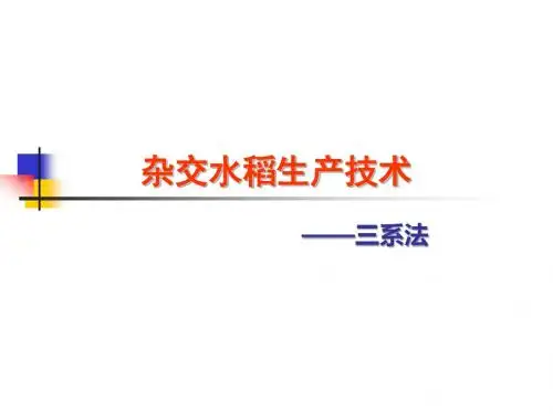 三系杂交水稻生产