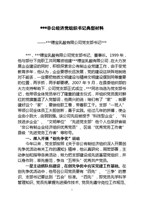 非公经济党组织书记典型材料