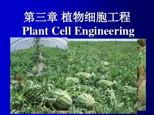 生物制药工程：第三章 植物细胞工程123节