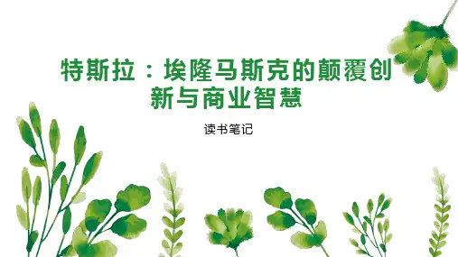 特斯拉：埃隆马斯克的颠覆创新与商业智慧