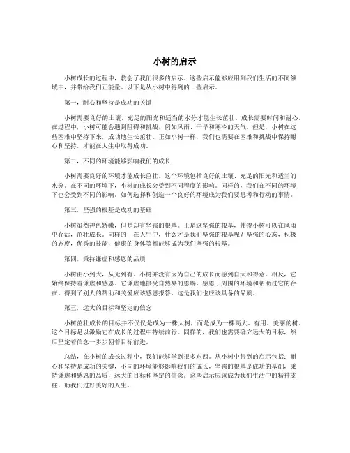 小树的启示