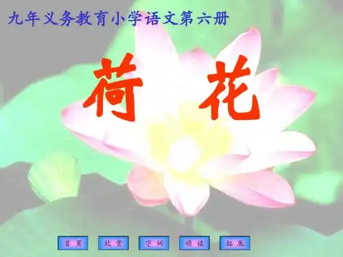 苏教版小学三年级语文下册 荷花 PPT课件