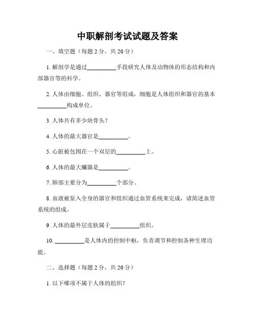 中职解剖考试试题及答案