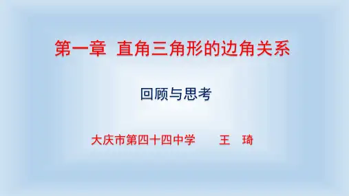 直角三角形的边角关系回顾与思考-PPT课件