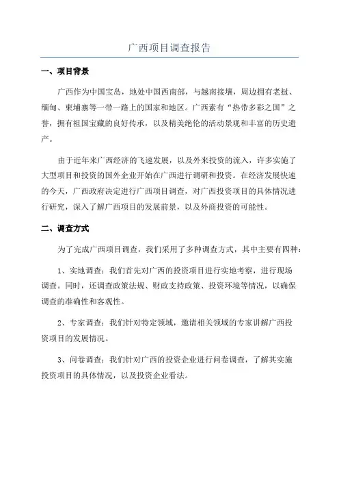 广西项目调查报告
