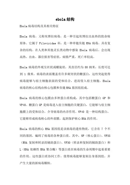 ebola结构