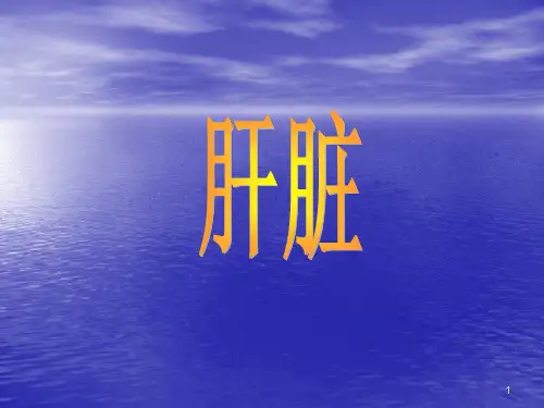 肝脏CT、MRI诊断PPT课件