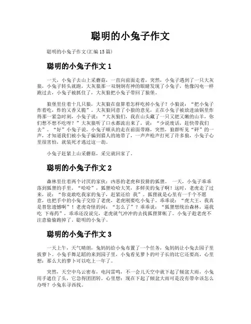 聪明的小兔子作文