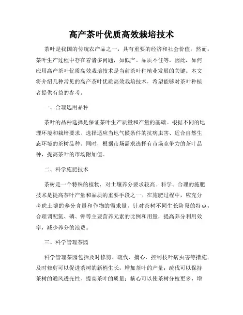 高产茶叶优质高效栽培技术