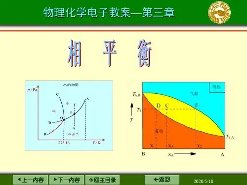 相平衡