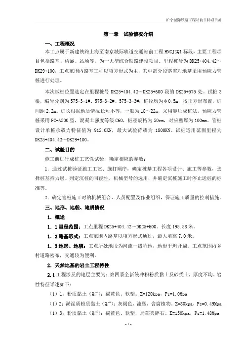 试桩总结报告内容