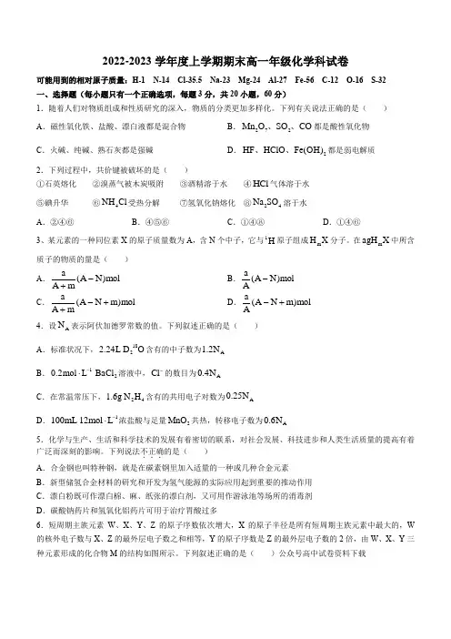 辽宁省沈阳市东北育才学校2022-2023学年高一上学期期末化学试题