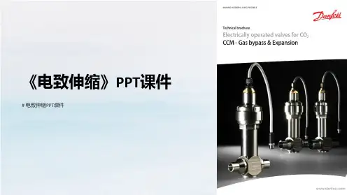 《电致伸缩》课件