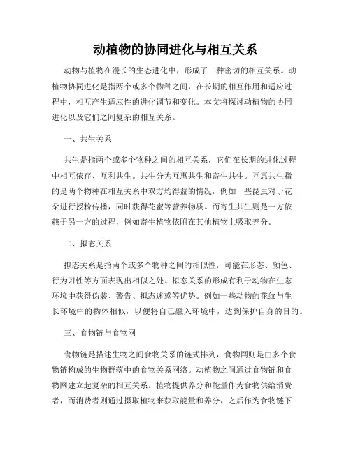 动植物的协同进化与相互关系