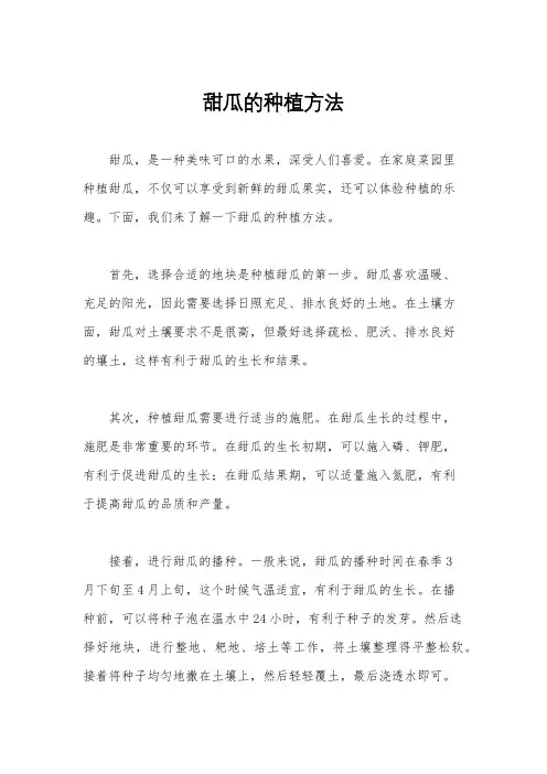 甜瓜的种植方法