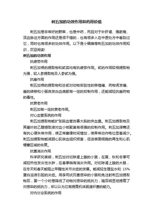 刺五加的功效作用和药用价值