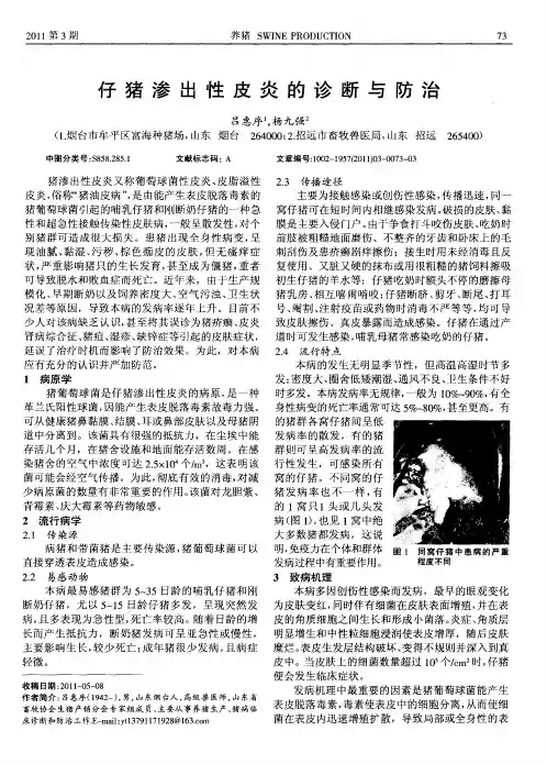 仔猪渗出性皮炎的诊断与防治
