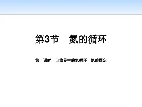 鲁科版高中化学必修一《氮的循环》物质的性质与转化PPT(第一课时自然界中的氮循环氮的固定)