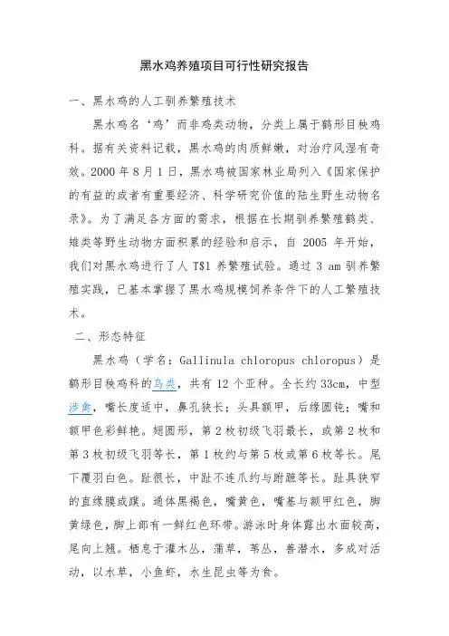 黑水鸡的人工驯养繁殖技术