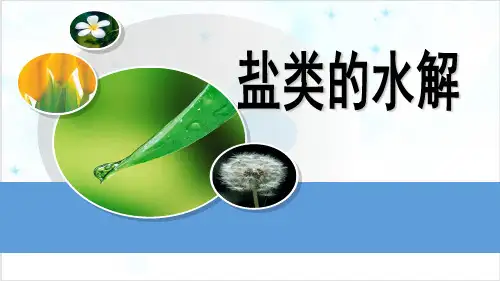 课件《盐类水解》PPT全文课件_人教版2