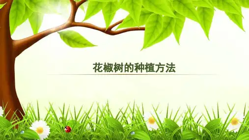 花椒树的种植方法