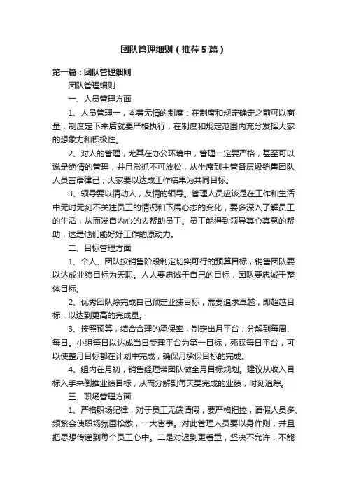 团队管理细则（推荐5篇）