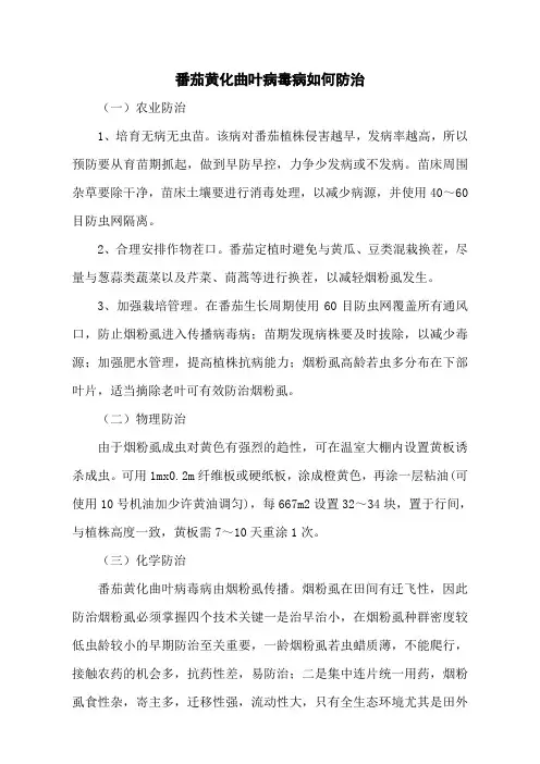番茄黄化曲叶病毒病如何防治