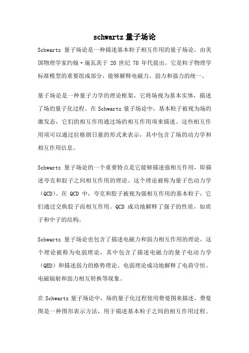 schwartz量子场论