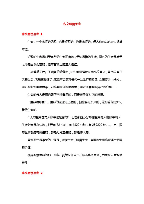 作文感悟生命