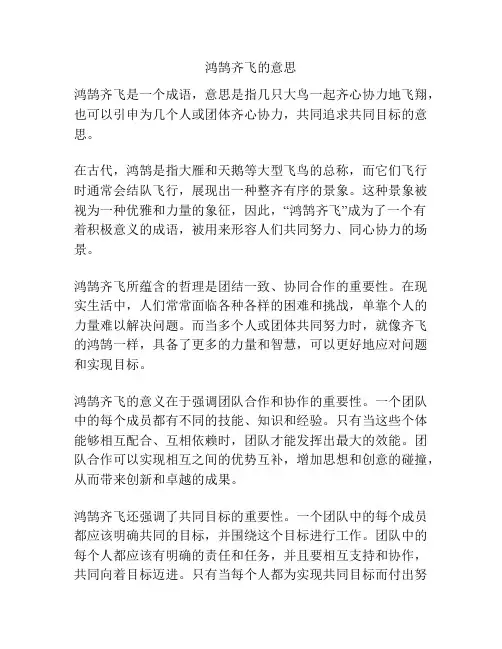 鸿鹄齐飞的意思