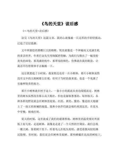《鸟的天堂》读后感