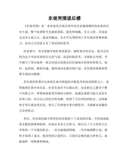 东坡突围读后感
