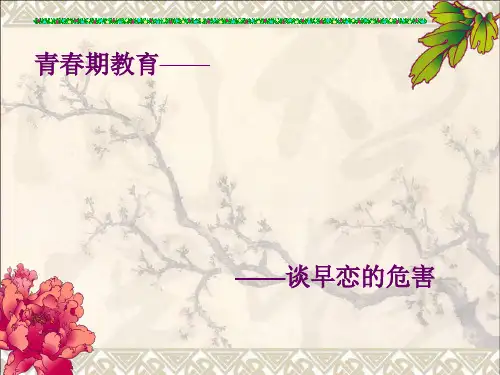 早恋的危害主题班会_图文