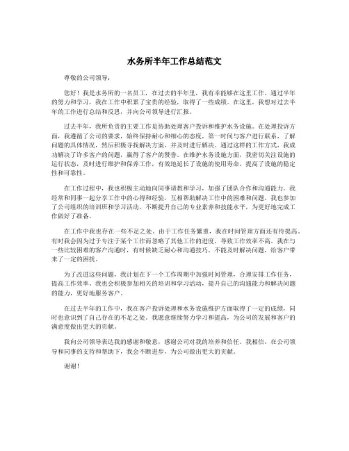 水务所半年工作总结范文