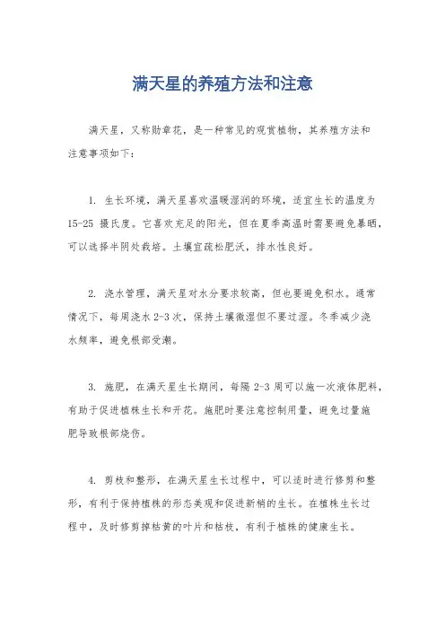 满天星的养殖方法和注意