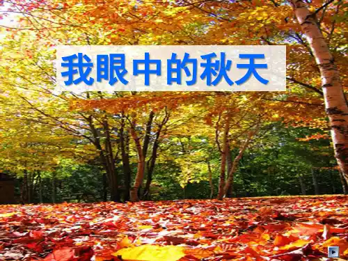 《我眼中的秋天》作文指导课PPT课件