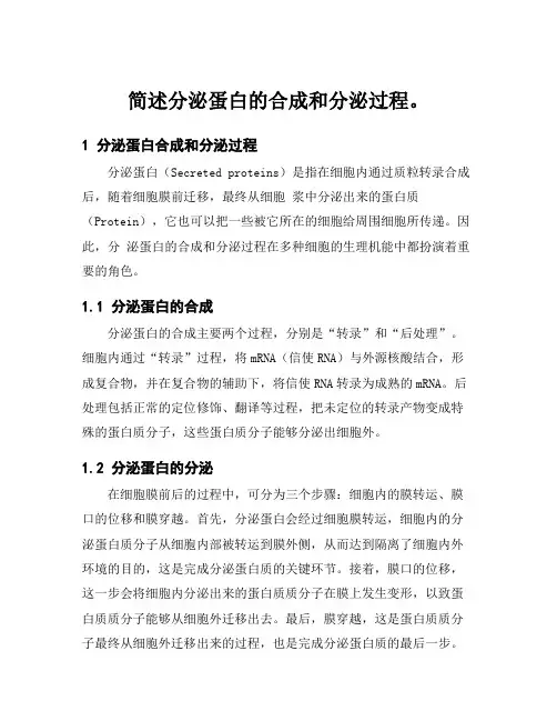 简述分泌蛋白的合成和分泌过程。