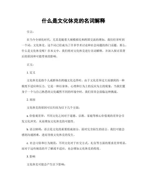 什么是文化休克的名词解释