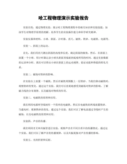 哈工程物理演示实验报告