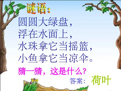 人教版一年级语文下册14《荷叶圆圆》(修改版)课件PPT