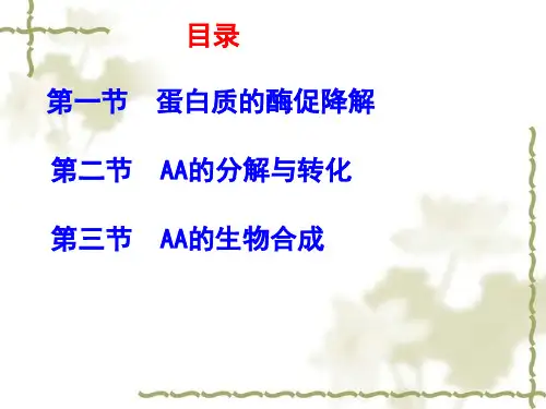 蛋白质的酶促降解和AA代谢