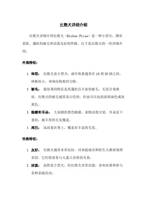 比熊犬详细介绍