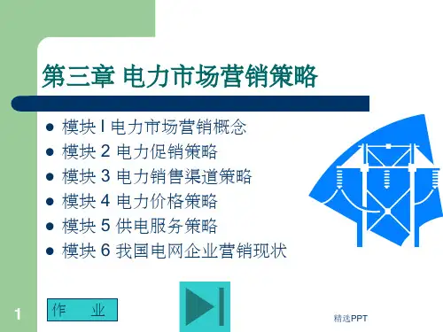 《电力市场营销策略》PPT课件